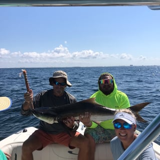 Cobia Fishing in Destin, Florida