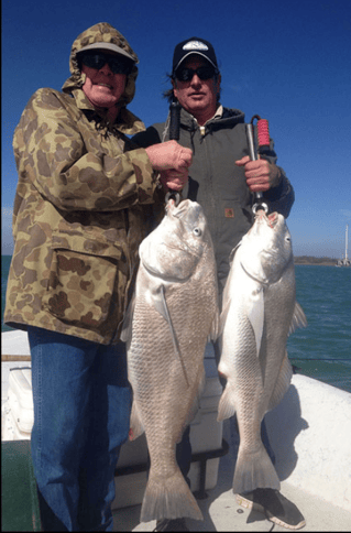 Black Drum Fishing in Aransas Pass, Texas