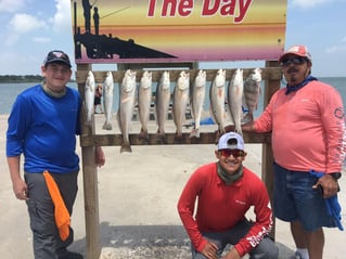 Black Drum, Redfish, Speckled Trout Fishing in Aransas Pass, Texas