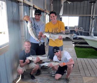 False Albacore, Striped Bass Fishing in Pottsboro, Texas