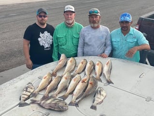 Black Drum, Redfish Fishing in Rockport, Texas