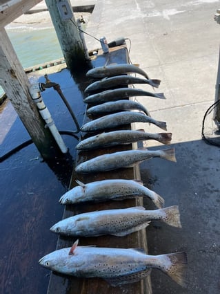 Rockport Reds on the Flats