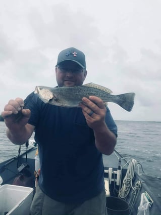 Live Action on Sabine Lake