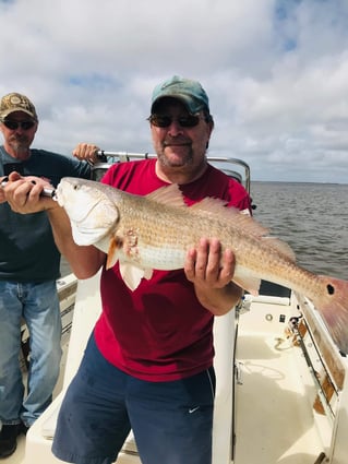 Live Action on Sabine Lake