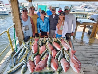 Mahi Mahi, Red Snapper Fishing in Pensacola, Florida