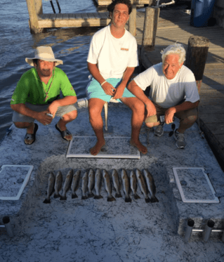 Laguna Madre Shallows Trip