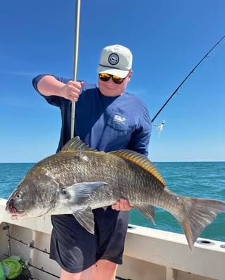 Black Drum Fishing in Gulf Shores, Alabama