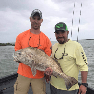 Black Drum Fishing in Port O'Connor, Texas