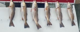 Aransas Pass Inshore Run