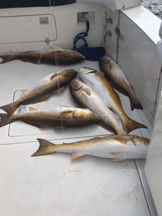 Biloxi Fishing Experience