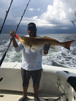 Biloxi Fishing Experience