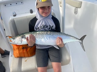 Florida Sportfish on Light Tackle