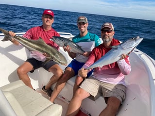 Florida Sportfish on Light Tackle