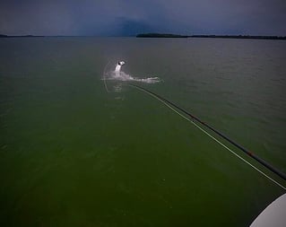 Islamorada Fly Fishing the Flats