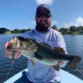 Largemouth Bass Fishing in Jupiter, Florida