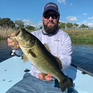 Largemouth Bass Fishing in Jupiter, Florida