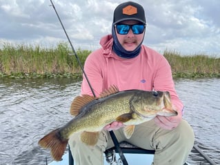 Largemouth Bass Fishing in Jupiter, Florida