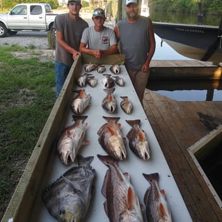 Speckled Trout & Redfish Full Day