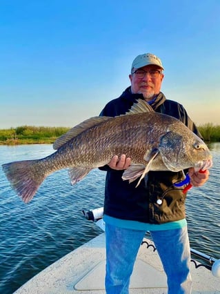 Black Drum Fishing in Saint Bernard, Louisiana