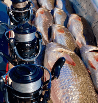 Redfish Fishing in Saint Bernard, Louisiana