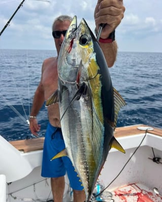 Yellowfin Tuna Fishing in Riviera Beach, Florida