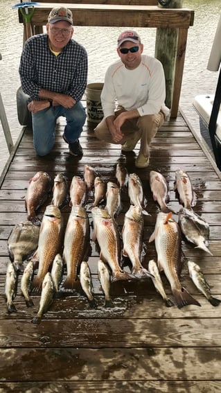 Black Drum, Redfish, Speckled Trout Fishing in Saint Bernard, Louisiana