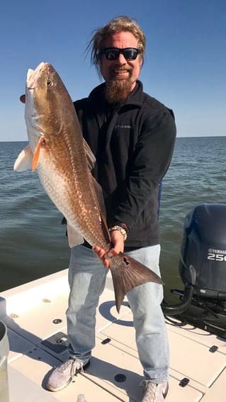 Redfish Fishing in Saint Bernard, Louisiana