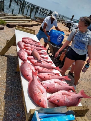 Ultimate Pensacola Fishing Trip