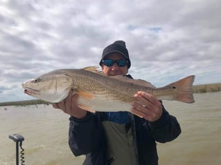 Full Day Inshore - 24' Blue Wave