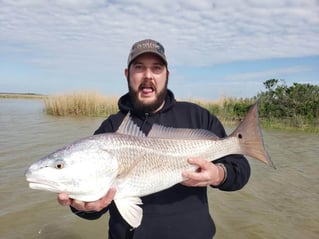 Full Day Inshore - 24' Blue Wave