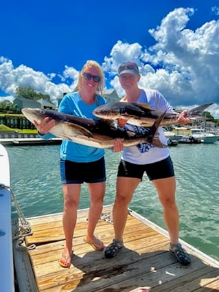 Wilmington Mixed Bag