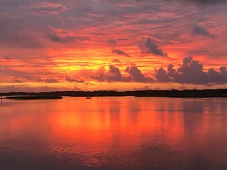 Inshore/backwater light tackle trip