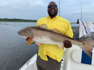 Redfish Fishing in Jacksonville, Florida