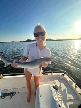 Sharks/Redfish in Charleston Harbor