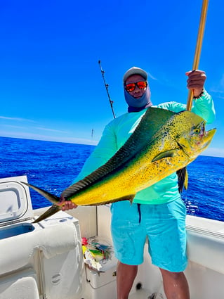 Cabo Trophy Hunt - 28' Cuddy Cabin