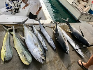 Cabo Trophy Hunt - 28’ Cuddy Cabin