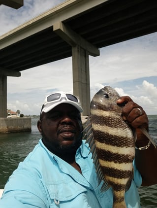 Sheepshead Fishing in St. Petersburg, Florida