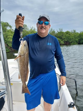 Redfish Fishing in St. Petersburg, Florida