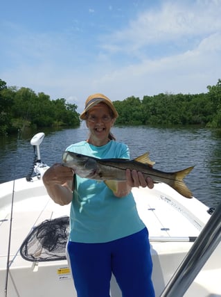 Snook Fishing in St. Petersburg, Florida