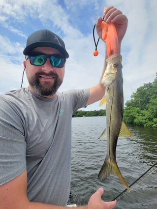 Snook Fishing in St. Petersburg, Florida