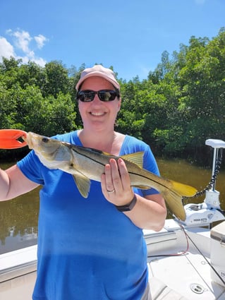 Snook Fishing in St. Petersburg, Florida