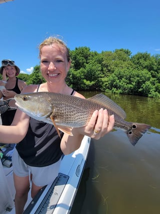 Redfish Fishing in St. Petersburg, Florida