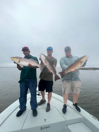 Full Day Fishing Trip