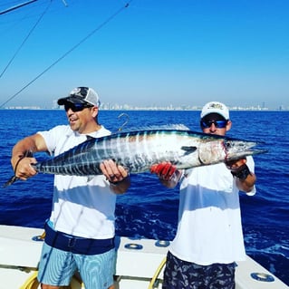 Wahoo Fishing in Miami Beach, Florida