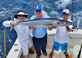 Wahoo Fishing in Miami Beach, Florida