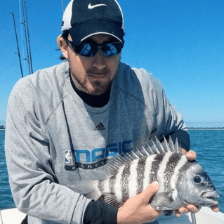 Sheepshead Fishing in St. Petersburg, Florida