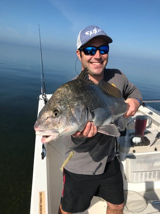 Black Drum Fishing in Hudson, Florida