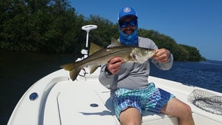 Snook Fishing in Hudson, Florida