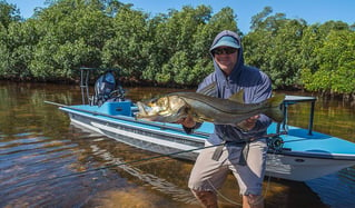 Snook Fishing in Placida, Florida