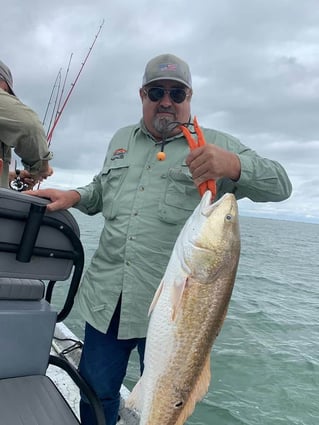 Bay and Jetty Fishing